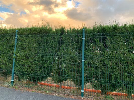 নিরাপত্তা ঢালাই তারের জাল বেড়া ক্ষয় আবরণ 3d প্যানেল