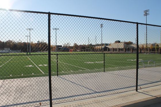 গ্যালভানাইজড স্টিল 6 X 50 ফুট চেইন লিঙ্ক বেড়া ফ্যাব্রিক 12.5-AW গ্যাজ