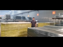 এজ প্রোটেকশন ব্যারিয়ার পাউডার লেপা