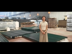 ক্লিয়ার ভিউ ট্রেলিস স্পাইকস সিকিউরিটি 358 এন্টি ক্লাইম্ব ফেন্স