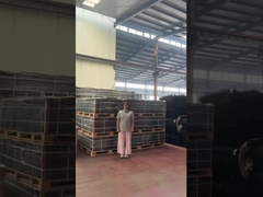 ক্লিয়ার ভিউ ট্রেলিস স্পাইকস সিকিউরিটি 358 এন্টি ক্লাইম্ব ফেন্স