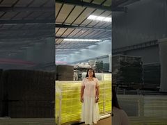 রিইনফোর্সড মিড-রেল সহ প্রভাব-প্রতিরোধী প্রান্ত সুরক্ষা বাধা