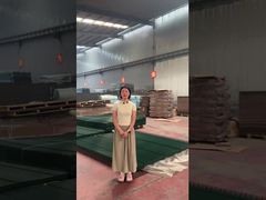 ক্লিয়ার ভিউ ট্রেলিস স্পাইকস সিকিউরিটি 358 এন্টি ক্লাইম্ব ফেন্স