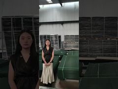 ক্লিয়ার ভিউ ফেন্স অ্যান্টি ক্লাইম্ব সিকিউরিটি ফেন্স তৈরি করা প্যালেট