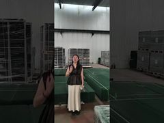 নিরাপত্তা ইস্পাত বেড়া পাউডার লেপ মেশিন